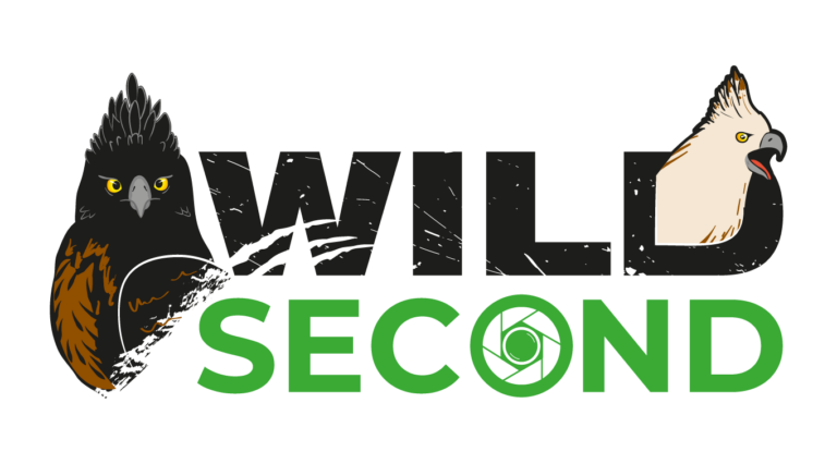 WildSecond_logo_RGB_logo_color