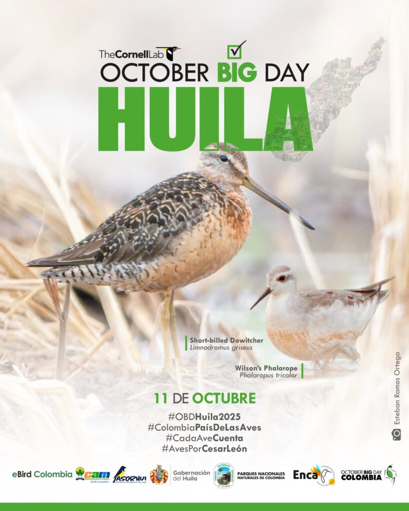 October Big Day Huila 2025