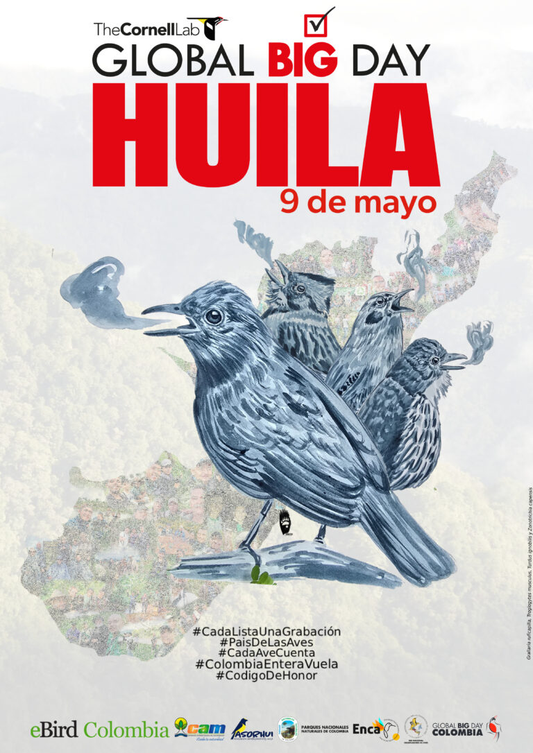 Poster Global Big Day 2026 vf.jpg