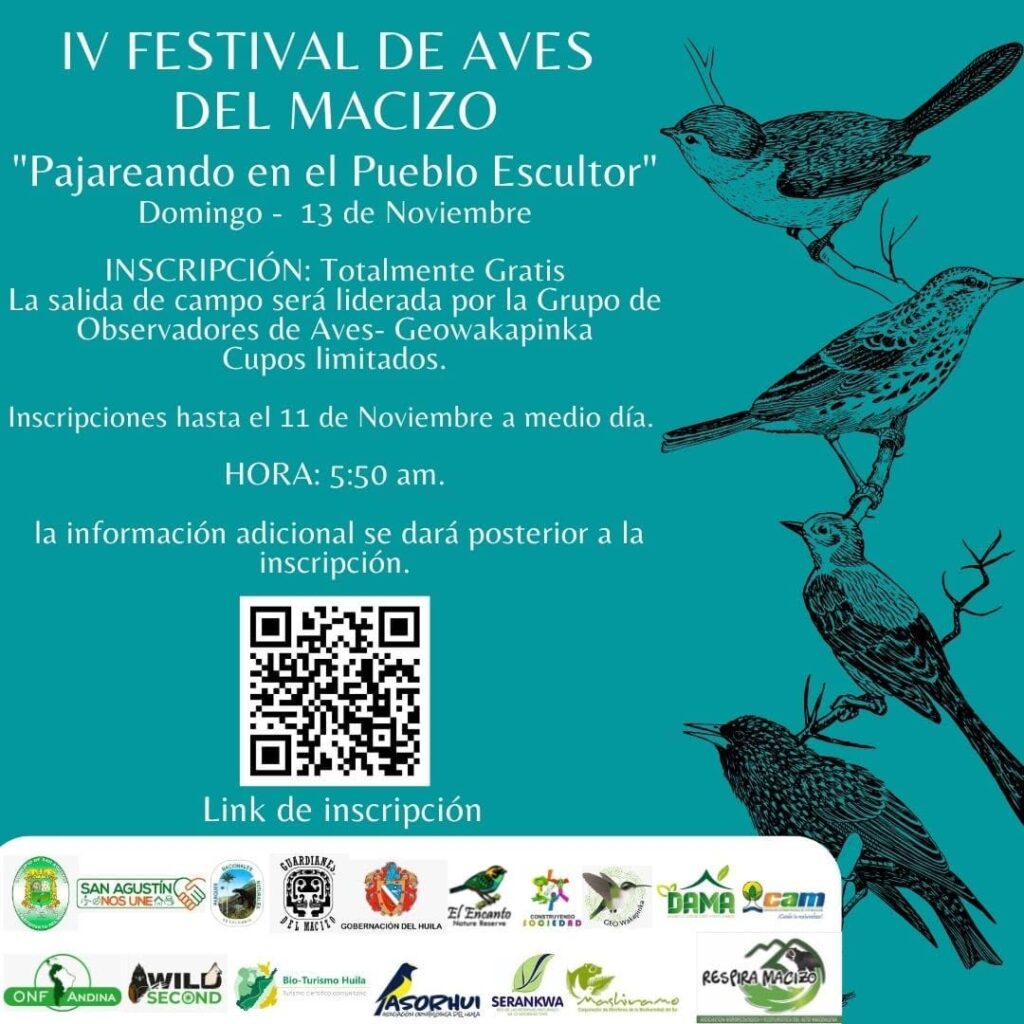IV festival de aves del macizo colombiano 2022