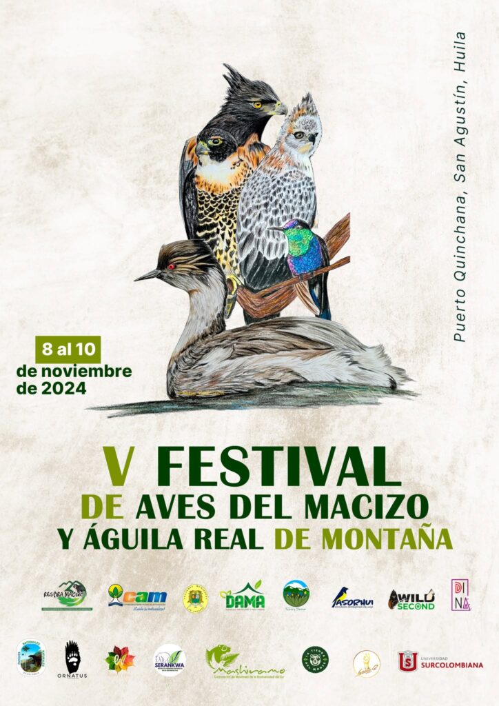 V Festival de Aves del Macizo y Águila Real de Montaña 2024